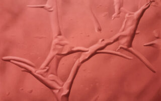 "ZOAR", 2024. 34 x 52". colored pencil, acrylic wash, powdered pastel on paper